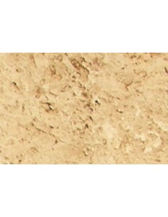 Columna rueda Marés 2