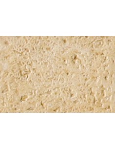 1/2 Capitel Alberca 2