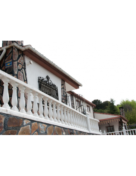 copy of Balaustre Bahamas