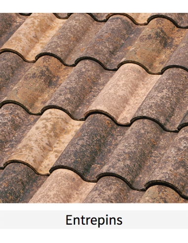 BorjaTECH Teja TB-10