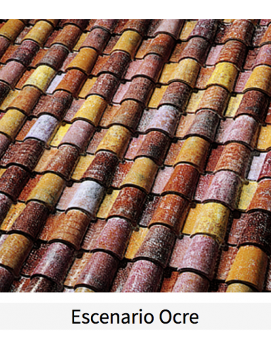 Teja BorjaClass TB-4