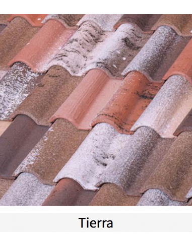 Teja BorjaClass TB-12