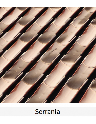 Teja BorjaClass Talón 50/45