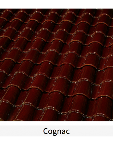 copy of Teja BorjaClass C-45.20