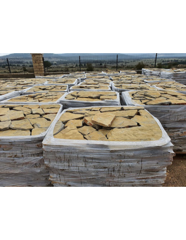 Losa irregular raíces