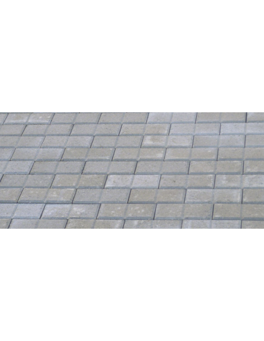 copy of Loseta Bahía