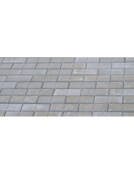 copy of Loseta Bahía