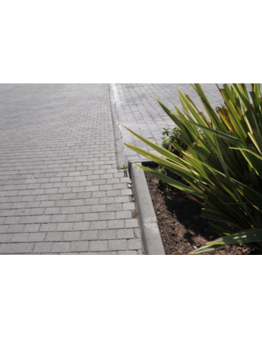 copy of Loseta Bahía