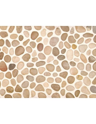 Enmallado 204 Marrón