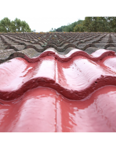 Aguastop Barrera Total