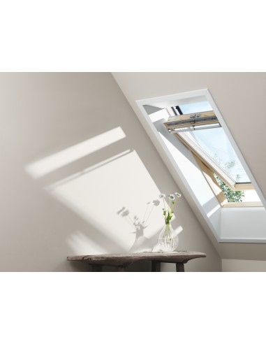 Ventana Giratoria Manual