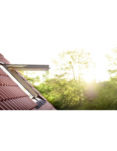 Ventana Proyectante Manual