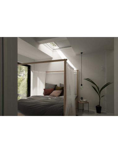 Ventana Cubierta Plana