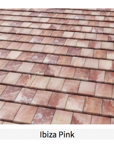 BorjaEXTREM Teja FLAT-5XL