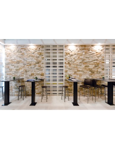 copy of Revestimiento Sierra Nevada